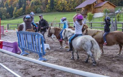 Stage d’équitation à venir