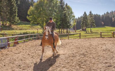 Week-end du 11 et 12 février dans le Jura