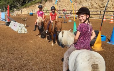 Journée du cheval les 8 et 13 septembre 2026