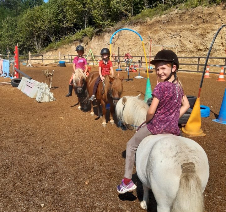 Journée du cheval les 8 et 13 septembre 2026