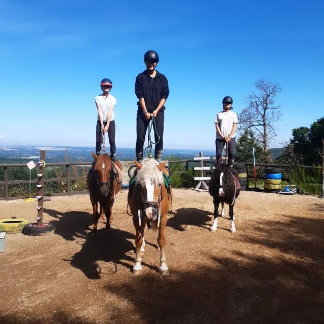 Super séance debout sur les chevaux !!