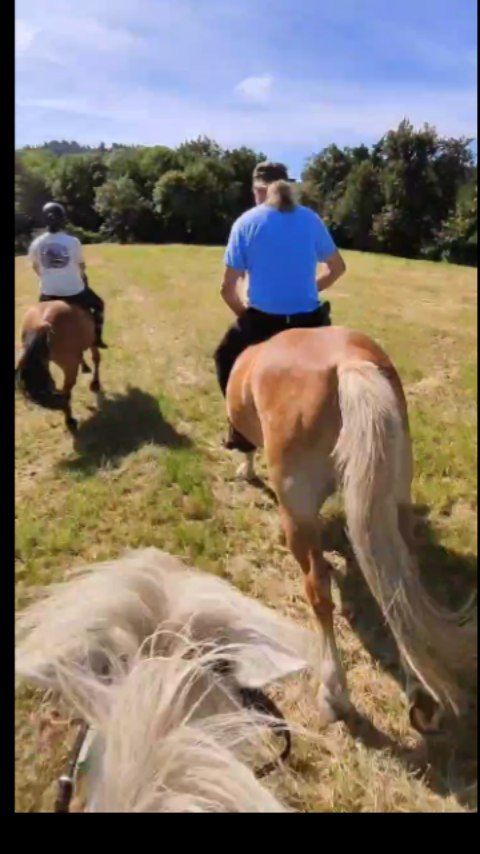 Galop dans les champs😍